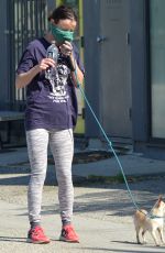 JULIETTE LEWIS Wearing Bandana Mask Out with Her Dogs in Venice Beach 04/20/2020