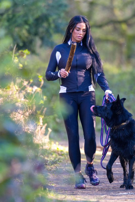 KATIE PRICE Out with Her Dog at a Park in Brighton 04/06/2020