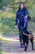 KATIE PRICE Out with Her Dog at a Park in Brighton 04/06/2020