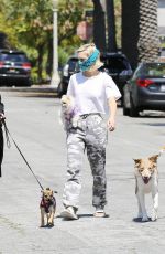 KELLY and Jack OSBOURNE Wearing Masks Out with Their Dogs in Los Angeles 04/11/2020