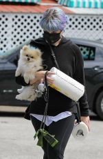 KELLY OSBOURNE Out with her Dog in Los Angeles 04/20/2020