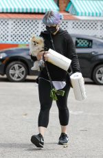 KELLY OSBOURNE Out with her Dog in Los Angeles 04/20/2020