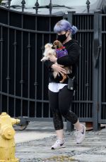 KELLY OSBOURNE Out with Her Dogs in Los Angeles 04/13/2020