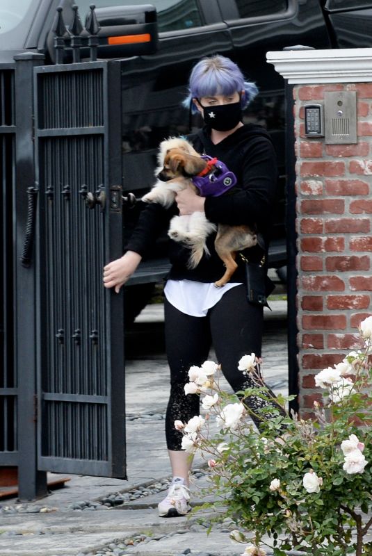 KELLY OSBOURNE Out with Her Dogs in Los Angeles 04/13/2020