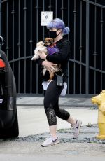 KELLY OSBOURNE Out with Her Dogs in Los Angeles 04/13/2020