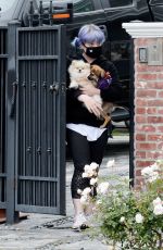 KELLY OSBOURNE Out with Her Dogs in Los Angeles 04/13/2020
