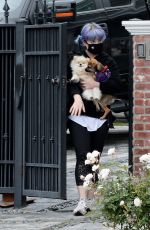 KELLY OSBOURNE Out with Her Dogs in Los Angeles 04/13/2020