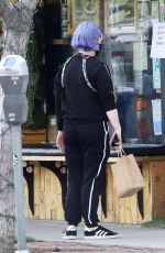KELLY OSBOURNE Pick Up Take Out Lunch Out in Los Angeles 03/31/2020