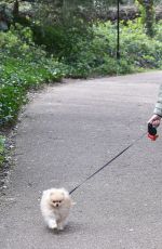 LAURA ANDERSON Out with Her Dog in Richmond 04/01/2020