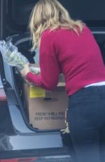 LAURA DERN Out in Los Angeles 04/04/2020