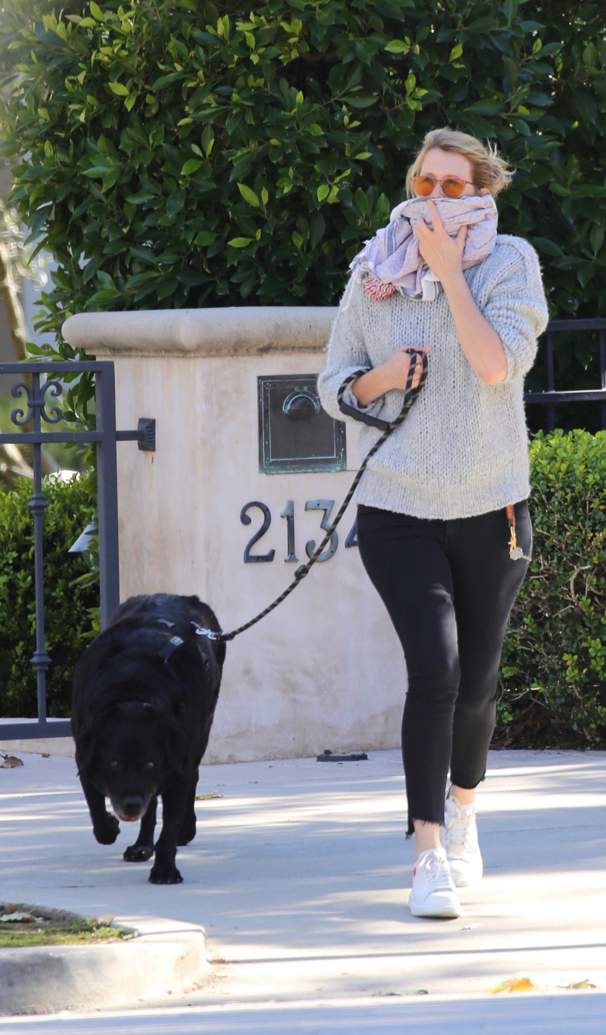 LAURA DERN Out with Her Dog in Los Angeles 04/17/2020 – HawtCelebs