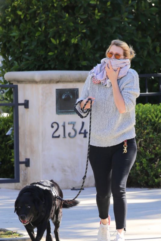 LAURA DERN Out with Her Dog in Los Angeles 04/17/2020