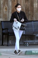 LAUREN SILVERMAN Wearing Mask and Gloves Out Shopping in Malibu 04/03/2020