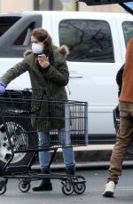 LILY COLLINS Leaves a Grocery Store in Los Angeles 04/09/2020