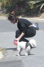 LUCY HALE Out with Her Dog Elvis in Los Angeles 04/01/2020