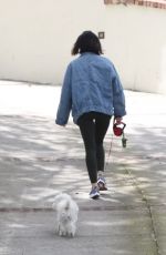 LUCY HALE Wearing Mask Out with Her Dog in Los Angeles 04/13/2020