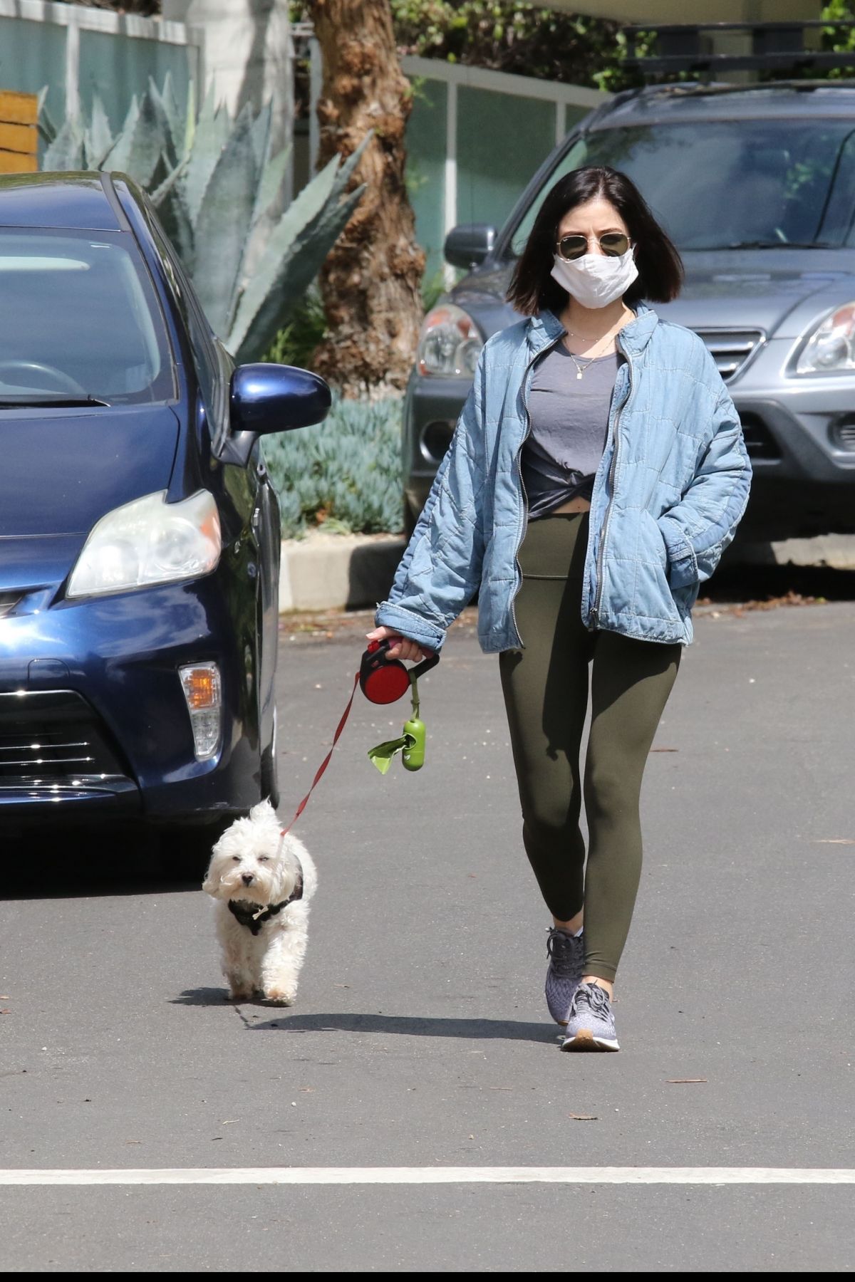 LUCY HALE Wearing Mask Out with Her Dog in Los Angeles 04/13/2020 ...