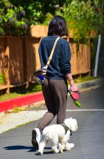 LUCY HALE Wearing Mask Out with Her Dog in Studio City 04/22/2020