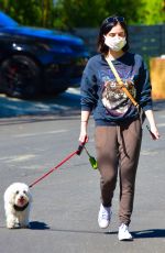 LUCY HALE Wearing Mask Out with Her Dog in Studio City 04/22/2020