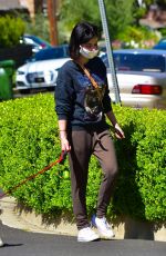 LUCY HALE Wearing Mask Out with Her Dog in Studio City 04/22/2020