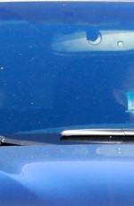 NATALIE PORTMAN Picked Up Her Dog from Animal Hospital in Los Feliz 04/14/2020