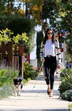 NINA DOBREV Out with Maverick in Los Angeles 04/11/2020