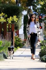 NINA DOBREV Out with Maverick in Los Angeles 04/11/2020