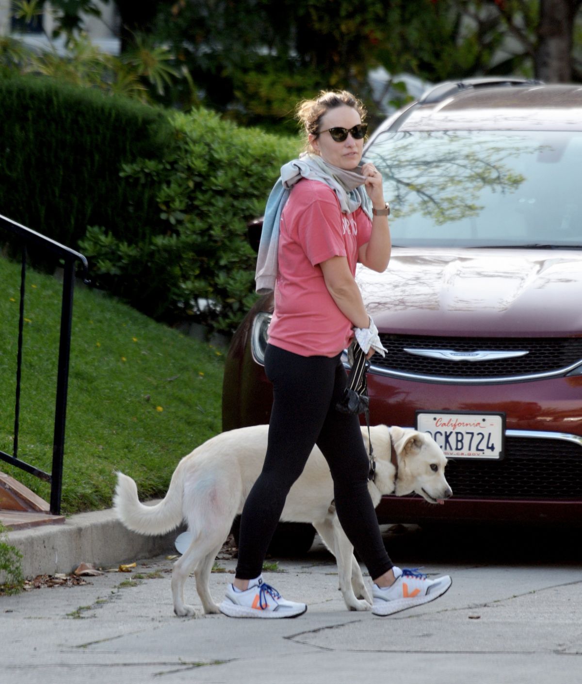 OLIVIA WILDE Out with Her Dog in Los Angeles 04/02/2020 – HawtCelebs