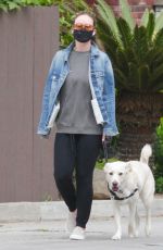 OLIVIA WILDE Waring a Black Mask Out with Her Dog in Los Angeles 04/05/2020
