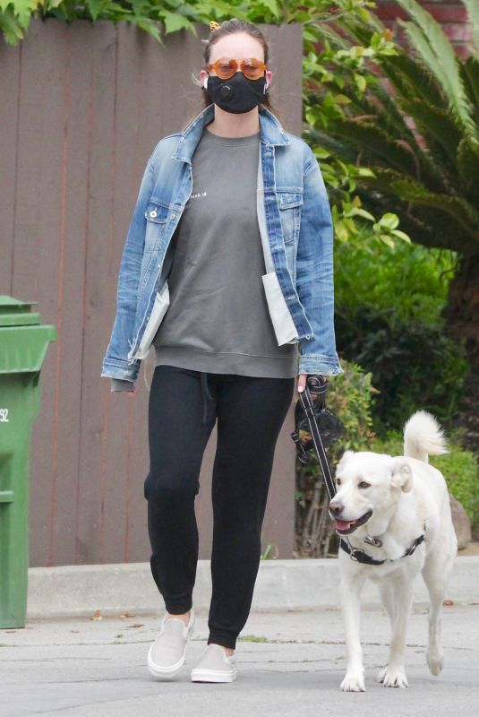 OLIVIA WILDE Waring a Black Mask Out with Her Dog in Los Angeles 04/05/2020