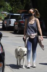 OLIVIA WILDE Wearing Bandana Mask Out with Her Dog in Los Feliz 04/11/2020