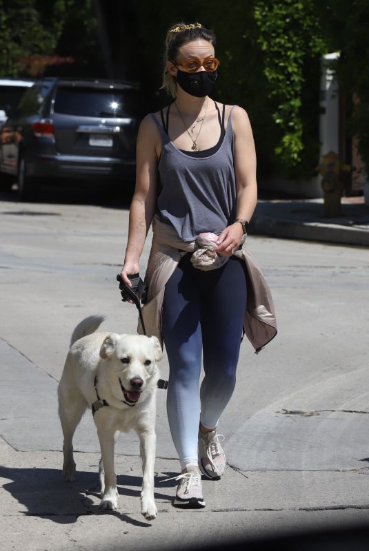 OLIVIA WILDE Wearing Bandana Mask Out with Her Dog in Los Feliz 04/11/2020