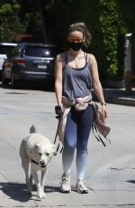 OLIVIA WILDE Wearing Bandana Mask Out with Her Dog in Los Feliz 04/11/2020
