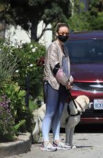 OLIVIA WILDE Wearing Bandana Mask Out with Her Dog in Los Feliz 04/11/2020