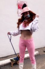 PHOEBE PRICE Waring New Custom Made Mask 04/06/2020