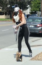 PHOEBE PRICE Wearing a Mask Out with Her Dog in Los Angeles 04/05/2020