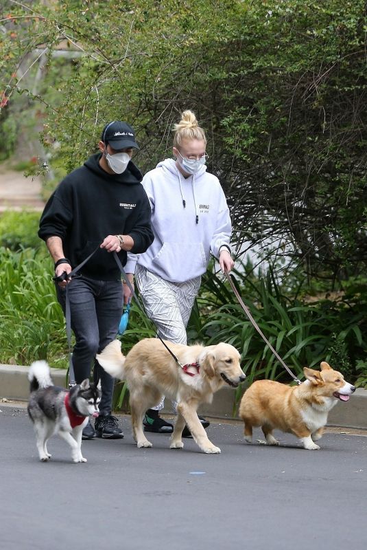 Pregnant SOPHIE TURNER and Joe Jonas Out with Their Dogs in Los Angeles 04/18/2020