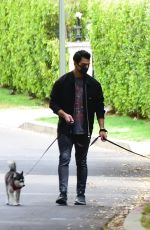 Pregnant SOPHIE TURNER and Joe Jonas Out with Their Dogs in Los Angeles 04/21/2020