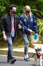 Pregnant SOPHIE TURNER and Joe Jonas Out with Their Dogs in Los Angeles 04/21/2020