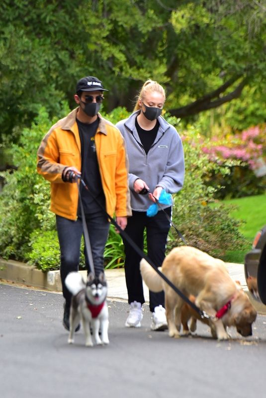 Pregnant SOPHIE TURNER and Joe Jonas Wearing Maks Out with Their Dogs in Los Angeles 04/20/2020