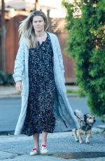 RACHAEL TAYLOR Out with Her Dog in Los Angeles 04/15/2020