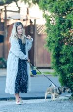 RACHAEL TAYLOR Out with Her Dog in Los Angeles 04/15/2020