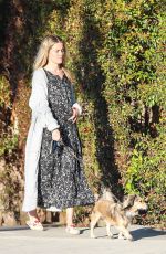 RACHAEL TAYLOR Out with Her Dog in Los Angeles 04/15/2020