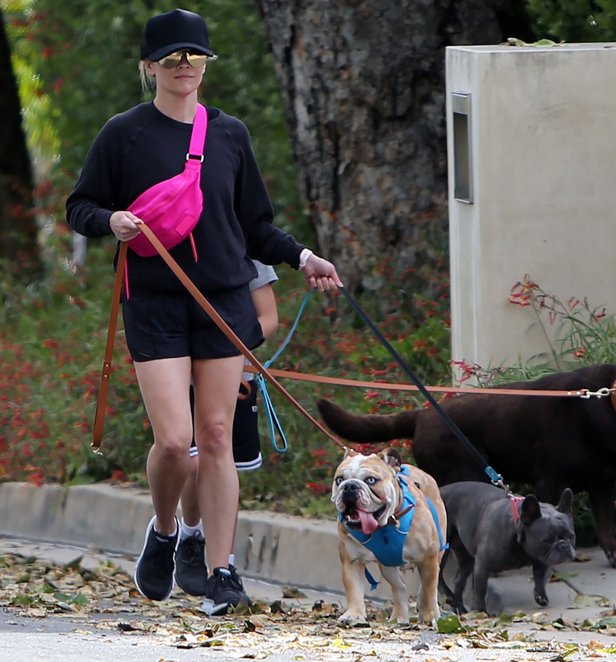 REESE WITHERSPOON Out with Her Dogs in Pacific Palisades 04/06/2020 ...