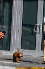 ROOSMARIJN DE KOK Out with Her Dog in Miami 04/02/2020