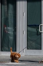 ROOSMARIJN DE KOK Out with Her Dog in Miami 04/02/2020