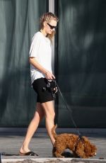 ROOSMARIJN DE KOK Out with Her Dog in Miami 04/02/2020