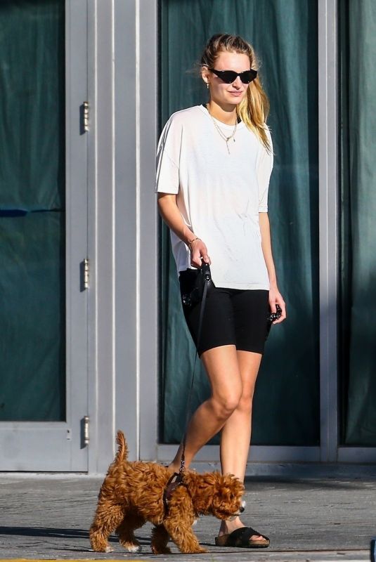 ROOSMARIJN DE KOK Out with Her Dog in Miami 04/02/2020