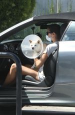 SARA SAMPAIO Takes Her Dog at Metropolitan Animal Specialty Hospital in Los Angeles 04/21/2020
