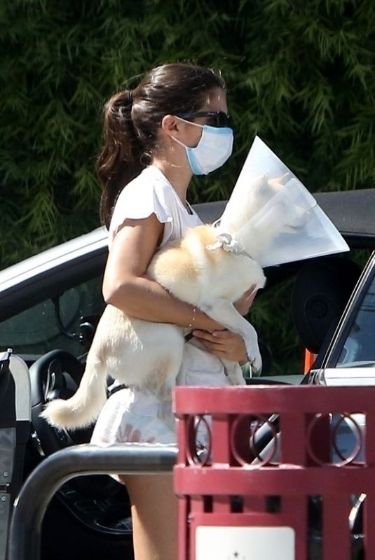 SARA SAMPAIO Takes Her Dog at Metropolitan Animal Specialty Hospital in Los Angeles 04/21/2020